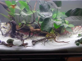 A 60Litre Named.. Aquapit..