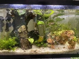 Post your first tank vs. newest!