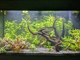 Long time no see - Rio 125 low tech