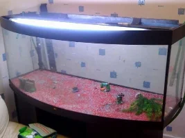 New Tank