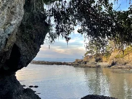 My trip to Salt Creek - tide pools!