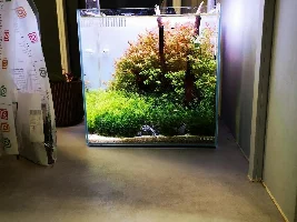 A new Nano tank