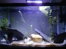My Tanks!