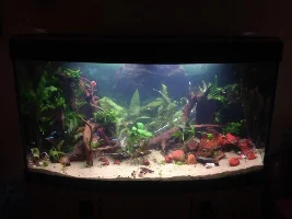 Leaking Tank Leads To New Beginnings