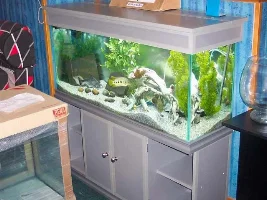 Picked my new tank!!