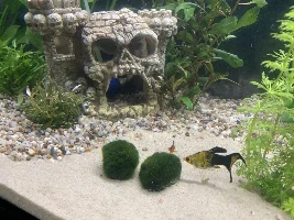 New to the forum