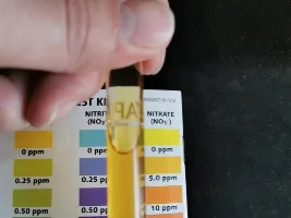 Test kits API/Ntlabs help
