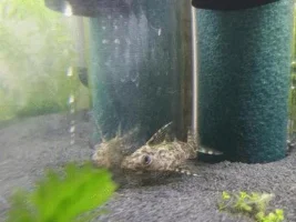 New Additions
