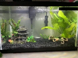 New to TFF!