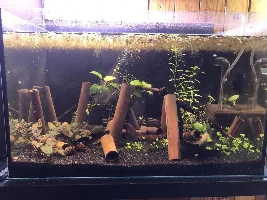 Organic matter - how much is too much