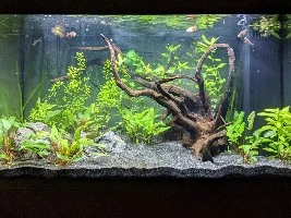 Long time no see - Rio 125 low tech
