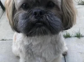 Vote Now - May 2022 Pet of the Month Contest