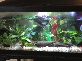 Please Help Me Diagnose