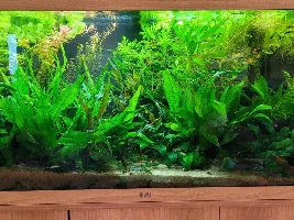 240ltr and 150ltr builds