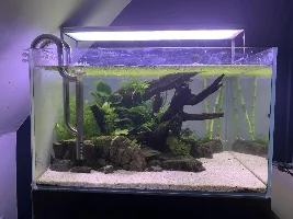 Aquascaper 600