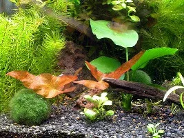 Day 2 pic of my new make over 23g