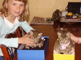 My Menagerie