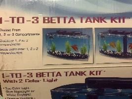 My Platy fish is not active and betta's fin is not as colorful as before..