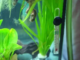 ID appreciated for new plants!