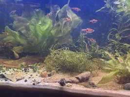 Such a huge difference with a good light .