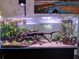 Cloudy Tank - why oh why ?