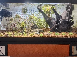 The 20g Long Progress