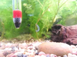 what is in my tank?