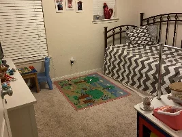 Building a Betta Room