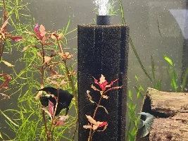 Custum large sponge filter