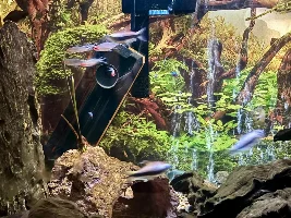 well, I like it… my tetra tank is full again…