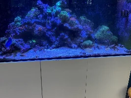 Fish Store Pictures