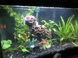 Hi there! I’m new here.