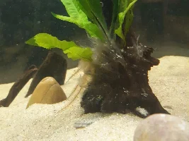New to live plants, should I be worried?