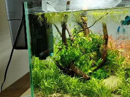 its been awhile, rebuild of the 30cm hightech cube