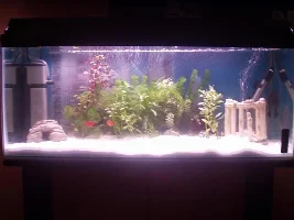 New tank up and running!!!