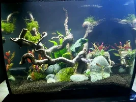 Hello fish friends 😁👋