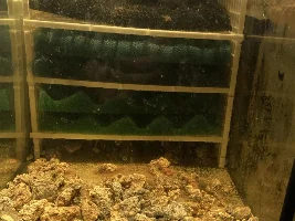 What else to add to sump