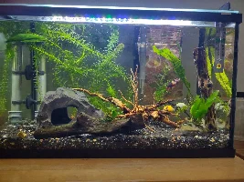 Water change complexity