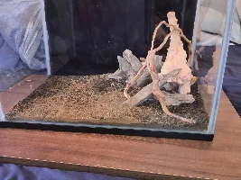 gimme30 - June 2026 Tank of the Month Winner