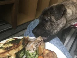 Trevor