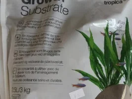 Help With Hair Algae