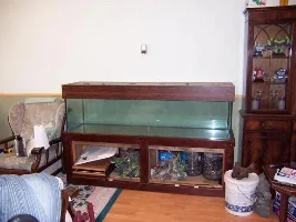 100 gal community