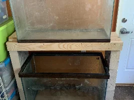 Anyone else raising fish for food??? Now with pictures of the Harvest!