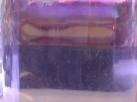 Harlequin rasboras jaw stuck open (?) Help needed