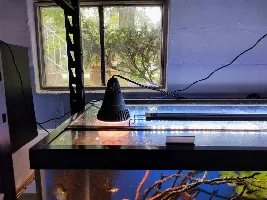 Slimmed Down Fish Room Journal