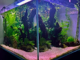 Aquascaper 600