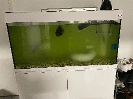 Uv steriliser