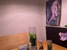 Ten gal planted betta, beginner needs advice!!!