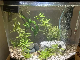 Cloudy water won’t subside