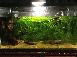 10g Build Journal.